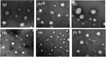 Graphical abstract: Dual drug encapsulation in a novel nano-vesicular carrier for the treatment of cutaneous melanoma: characterization and in vitro/in vivo evaluation