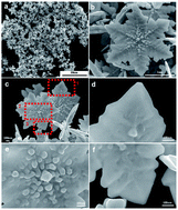 Graphical abstract: One-pot synthesis affords perfectly six-fold symmetrical Au microsnowflakes for excellent electrochemical biosensing and surface-enhanced Raman scattering assays