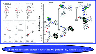 Graphical abstract: Design, synthesis and photophysical properties of 8-hydroxyquinoline-functionalized tripodal molecular switch as a highly selective sequential pH sensor in aqueous solution
