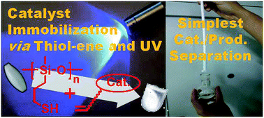 Graphical abstract: Organocatalysis in polysiloxane gels: a magnetic-stir-bar encapsulated catalyst system prepared by thiol–ene photo-click immobilization
