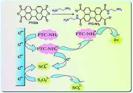 Graphical abstract: Cathodic electrochemiluminescence behavior of an ammonolysis product of 3,4,9,10-perylenetetracarboxylic dianhydride in aqueous solution and its application for detecting dopamine