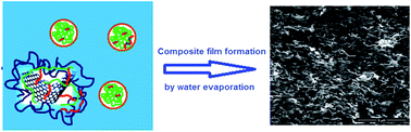 Graphical abstract: Crosslinked reduced graphene oxide/polymer composites via in situ synthesis by semicontinuous emulsion polymerization