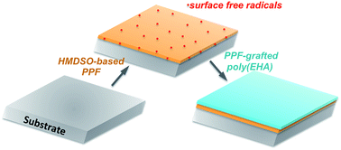 Graphical abstract: Free radical-induced grafting from plasma polymers for the synthesis of thin barrier coatings