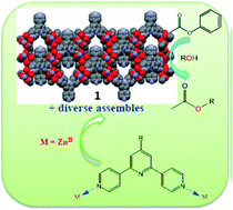 Graphical abstract: Diverse zinc(ii) coordination assemblies built on divergent 4,2′:6′,4′′-terpyridine derivatives: syntheses, structures and catalytic properties