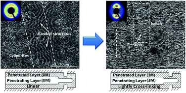 Graphical abstract: An unusual transition from point-like to fibrillar crystals in injection-molded polyethylene articles induced by lightly cross-linking and melt penetration