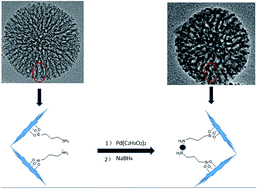 Graphical abstract: Aqueous-phase hydrodechlorination and further hydrogenation of chlorophenols to cyclohexanone in water over palladium nanoparticles modified dendritic mesoporous silica nanospheres catalyst