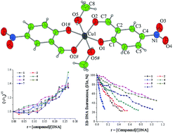 Graphical abstract: Copper(ii) complexes of salicylaldehydes and 2-hydroxyphenones: synthesis, structure, thermal decomposition study and interaction with calf-thymus DNA and albumins