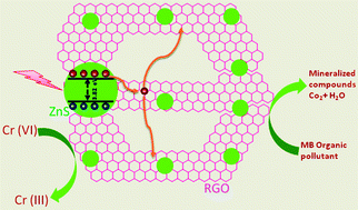 Graphical abstract: Self-assembled macro porous ZnS–graphene aerogels for photocatalytic degradation of contaminants in water