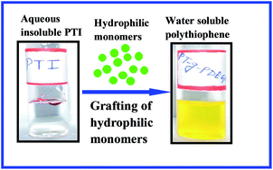 Graphical abstract: Water soluble polythiophenes: preparation and applications