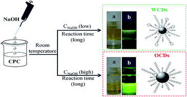 Graphical abstract: One pot selective synthesis of water and organic soluble carbon dots with green fluorescence emission