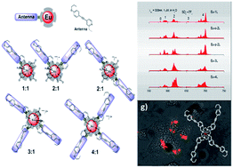 Graphical abstract: The effects of the increasing number of the same chromophore on photosensitization of water-soluble cyclen-based europium complexes with potential for biological applications