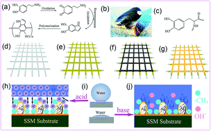 Graphical abstract: A facile approach to transform stainless steel mesh into pH-responsive smart material