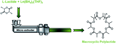 Graphical abstract: Continuous cyclo-polymerisation of l-lactide by reactive extrusion using atoxic metal-based catalysts: easy access to well-defined polylactide macrocycles