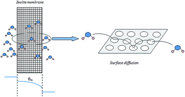 Graphical abstract: Investigations on permeation of water vapor through synthesized nanoporous zeolite membranes; a mass transfer model