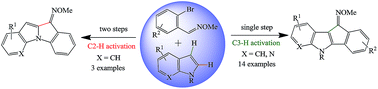 Graphical abstract: Pd-catalyzed dehydrogenative C–H activation of iminyl hydrogen with the indole C3–H and C2–H bond: an elegant synthesis of indeno[1,2-b]indoles and indolo[1,2-a]indoles