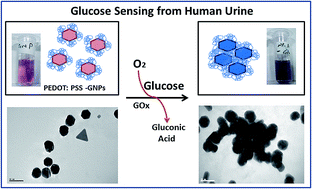 Graphical abstract: Anisotropic gold nanoparticles for the highly sensitive colorimetric detection of glucose in human urine