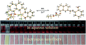 Graphical abstract: Naked-eye-based selective detection of pyrophosphate with a Zn2+ complex in aqueous solution and electrospun nanofibers