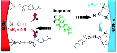 Graphical abstract: Elucidation of acid strength effect on ibuprofen adsorption and release by aluminated mesoporous silica nanoparticles