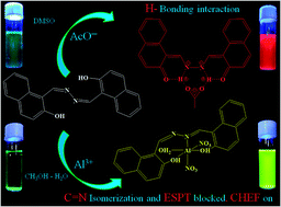 Graphical abstract: A single probe for sensing both acetate and aluminum(iii): visible region detection, red fluorescence and human breast cancer cell imaging