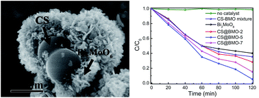 Graphical abstract: Novel carbon sphere@Bi2MoO6 core–shell structure for efficient visible light photocatalysis