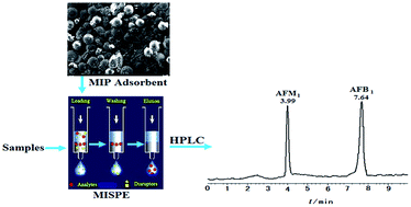 Graphical abstract: Molecularly imprinted solid phase extraction coupled to high performance liquid chromatography for determination of aflatoxin M1 and B1 in foods and feeds