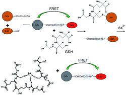 Graphical abstract: Determination of arsenic(iii) based on the fluorescence resonance energy transfer between CdTe QDs and Rhodamine 6G