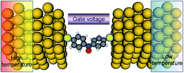 Graphical abstract: Thermal spin transport of a nitroxide radical-based molecule