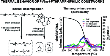 Graphical abstract: Unexpected thermal decomposition behavior of poly(N-vinylimidazole)-l-poly(tetrahydrofuran) amphiphilic conetworks, a class of chemically forced blends