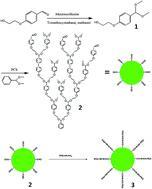 Graphical abstract: Synthesis of an amphiphilic hyperbranched polymer as a novel pH-sensitive drug carrier