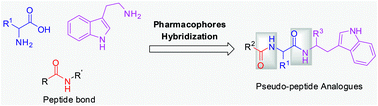 Graphical abstract: Synthesis and biological evaluation of peptidomimetics containing the tryptamine moiety as a potential antitumor agent