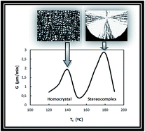 Graphical abstract: Efficient stereocomplex crystallization in enantiomeric blends of high molecular weight polylactides