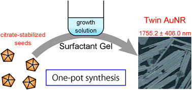 Graphical abstract: One-pot synthesis of long twin gold nanorods in a gelled surfactant solution
