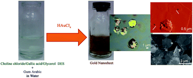 Graphical abstract: A seed-less method for synthesis of ultra-thin gold nanosheets by using a deep eutectic solvent and gum arabic and their electrocatalytic application