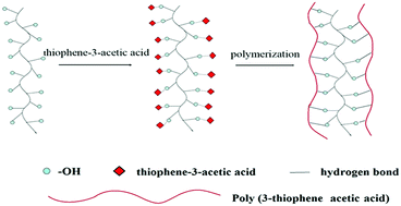 Graphical abstract: Electrochemical synthesis of poly(3-thiophene acetic acid) nanowires with water-soluble macromolecule templates