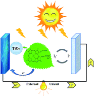 Graphical abstract: Theoretical studies on the spectroscopic properties of porphyrin derivatives for dye-sensitized solar cell application