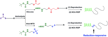 Graphical abstract: Synthetic protocols toward polypeptide conjugates via chain end functionalization after RAFT polymerization