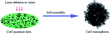 Graphical abstract: Quantum dot-assembled mesoporous CuO nanospheres based on laser ablation in water