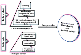 Graphical abstract: Solid lipid nanoparticles (SLNs): delivery vehicles for food bioactives