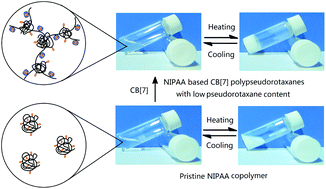 Graphical abstract: Aggregation and thermal gelation of N-isopropylacrylamide based cucurbit[7]uril side-chain polypseudorotaxanes with low pseudorotaxane content