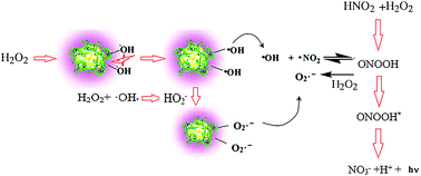 Graphical abstract: Gold nanocluster-enhanced peroxynitrous acid chemiluminescence for high selectivity sensing of nitrite