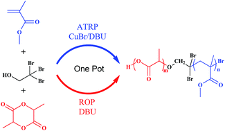 Graphical abstract: One-pot synthesis of poly(l-lactide)-b-poly(methyl methacrylate) block copolymers