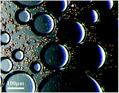 Graphical abstract: High temperature and oil tolerance of surfactant foam/polymer–surfactant foam