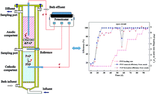 Graphical abstract: Enhanced p-nitrophenol removal in a membrane-free bio-contact coupled bioelectrochemical system