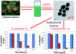 Graphical abstract: UV-assisted size sampling and antibacterial screening of Lantana camara leaf extract synthesized silver nanoparticles