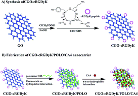 Graphical abstract: cRGDyK-modified camretastain A4-loaded graphene oxide nanosheets for targeted anticancer drug delivery