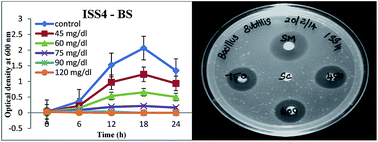 Graphical abstract: Synthesis of α-Fe2−xAgxO3 nanocrystals and study of their optical, magnetic and antibacterial properties