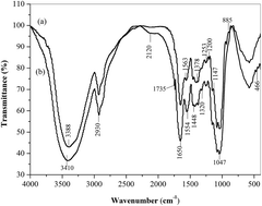 Graphical abstract: Efficient removal of Cd(ii) and Cu(ii) from aqueous solution by magnesium chloride-modified Lentinula edodes