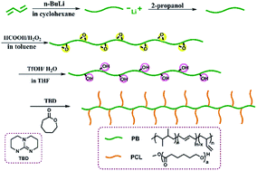 Graphical abstract: Facile synthesis of well-defined linear-comb highly branched poly(ε-caprolactone) using hydroxylated polybutadiene and organocatalyst