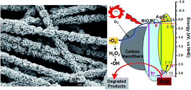 Graphical abstract: Preparation of novel carbon nanofibers with BiOBr and AgBr decoration for the photocatalytic degradation of rhodamine B