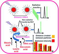 Graphical abstract: Concentration quenching in cerium oxide dispersions via a Förster resonance energy transfer mechanism facilitates the identification of fatty acids